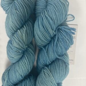 Variegated Light River Orchid Worsted