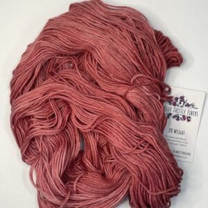 Variegated Dark Pink Hibiscus DK