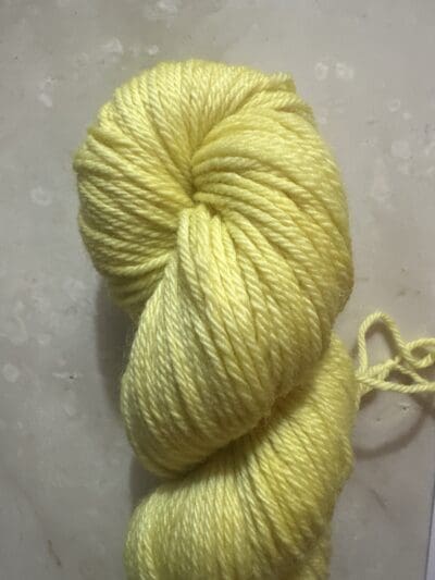 Variegated Dark Honeysuckle Worsted - Image 2