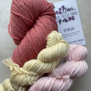 Colorwork Bundles DK Yarn - Naturally Dyed in West Virginia