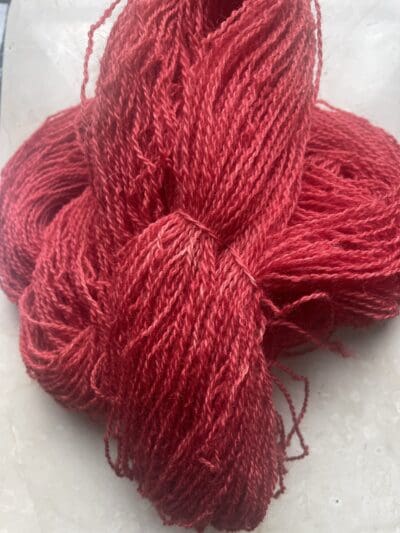 Dark Red Dahlia 100% Shetland Fingering - Image 3