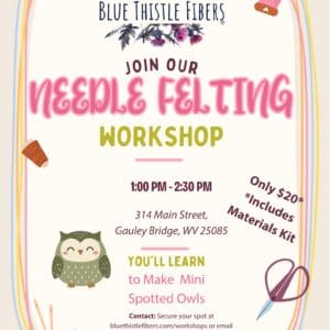 Beginner Needle Felting Workshop - Gauley Bridge, WV |