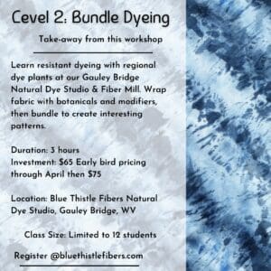 Level 2: Bundle Dyeing with Botanicals