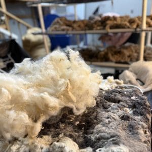 Close-up texture of raw wool fiber before spinning