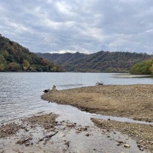 Riverbank Botanicals