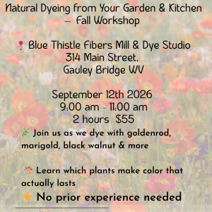 Level 3: Natural Dyeing from Your Garden & Kitchen — Fall Session