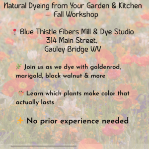 Naturaly Dyeing from your garden and kitchen