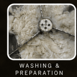 Washing & Preparing Raw Wool