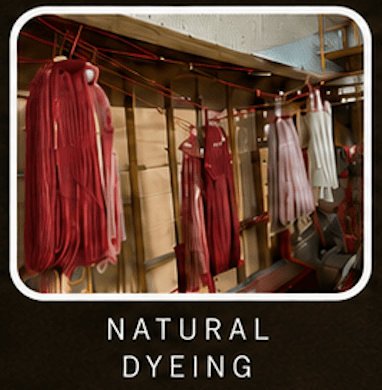 Blue Thistle natural dyeing workshop image