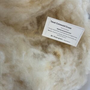 Texel/Cotswold Cross Cloud | Scoured & Picked Fiber, by the 10 g