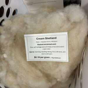 Shetland Cream Cloud | Scoured & Picked Fiber, by the 10 g