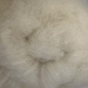 Texel Cross Batt